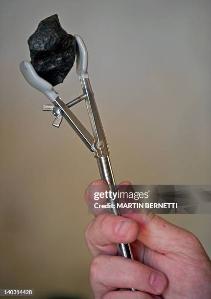 British astronomer and wine producer Ian Hutcheon , owner of the Tremonte vineyard, shows the meteorite he uses to make his new wine Meteorito, in...