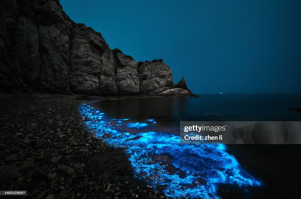 Blue light bioluminescence in the sea at night