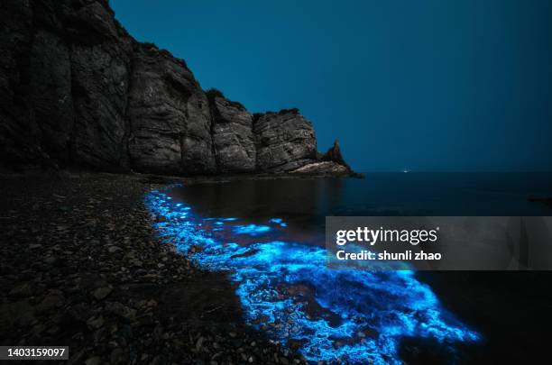blue light bioluminescence in the sea at night - bioluminescência imagens e fotografias de stock