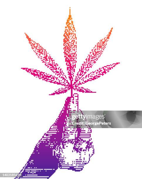 verpixelte illustration der hand, die cannabisblätter hält - hemp stock-grafiken, -clipart, -cartoons und -symbole