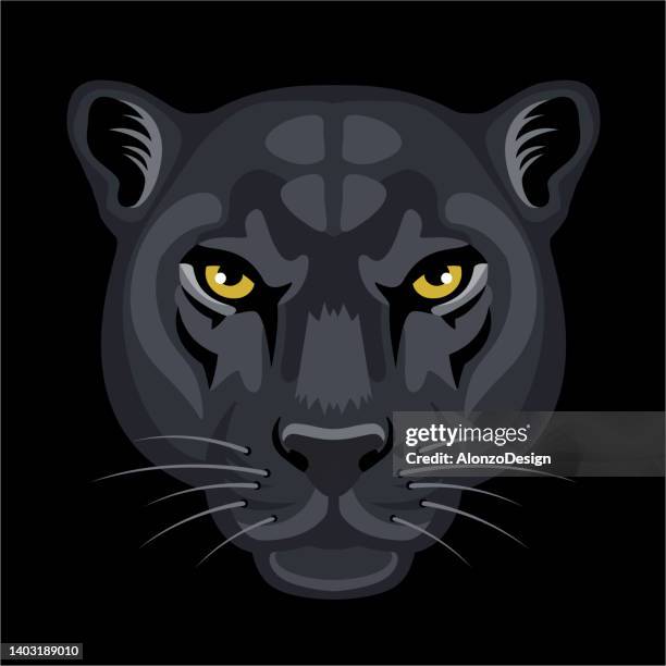black panther head close up. black leopard head logo. portrait of a black leopard in the wild. scary looking male. - black panther face 幅插畫檔、美工圖案、卡通及圖標