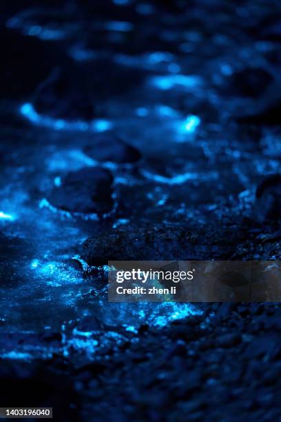 blue light bioluminescence in the sea at night - ヤコウチュウ ストックフォトと画像