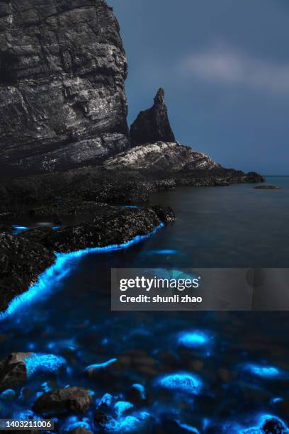 blue light bioluminescence in the sea at night - ヤコウチュウ ストックフォトと画像
