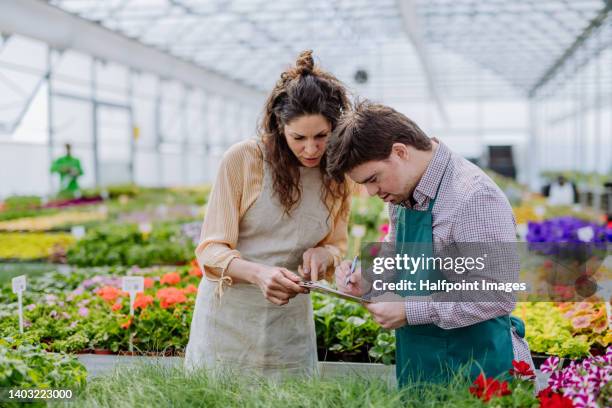 man with down syndrome working together with his colleague in garden centre. social inclusion concept. - internship marketing stock-fotos und bilder