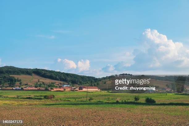 rural scene,northeast china - jilin stockfoto's en -beelden