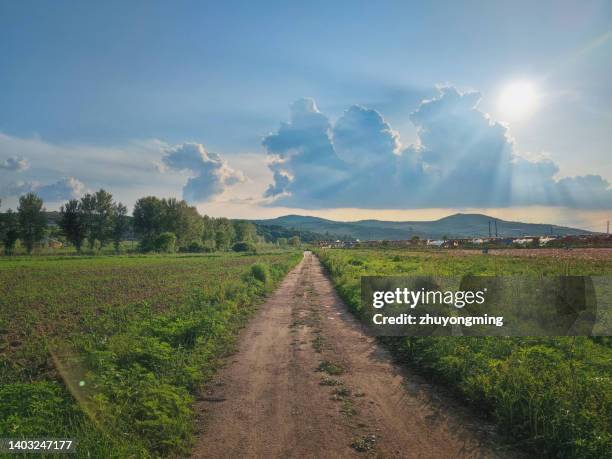 rural scene,country road,northeast china - jilin stockfoto's en -beelden