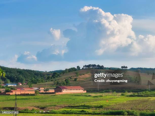 rural scene,northeast china - jilin stockfoto's en -beelden