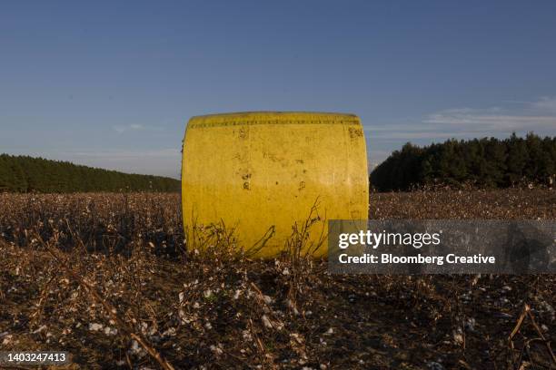 cotton harvest - newly harvested stock pictures, royalty-free photos & images