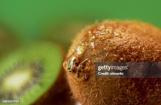 kiwi fruits with water drops - kiwi fruit stock pictures, royalty-free photos & images