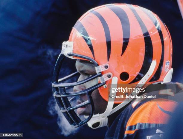 Willie Anderson, Offensive Tackle for the Cincinnati Bengals looks on from the side line during the AFC Central Division game against the...
