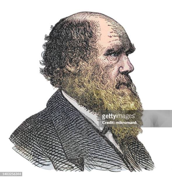 portrait of charles robert darwin, british naturalist and scientist - charles darwin naturalist stock pictures, royalty-free photos & images