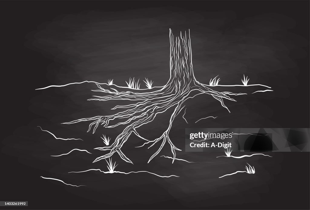 Tree Roots Blackboard
