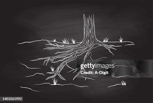 Tree Roots Blackboard Tree Roots Blackboard