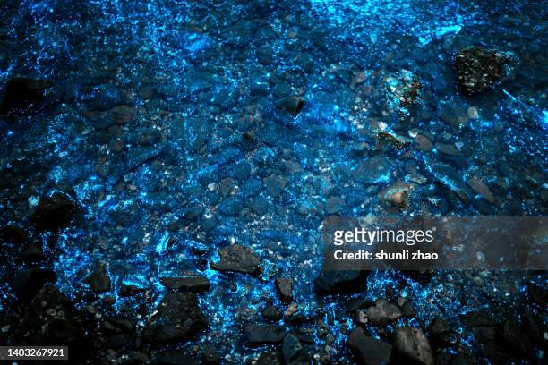 blue light bioluminescence in the sea at night - phosphorescence stock-fotos und bilder
