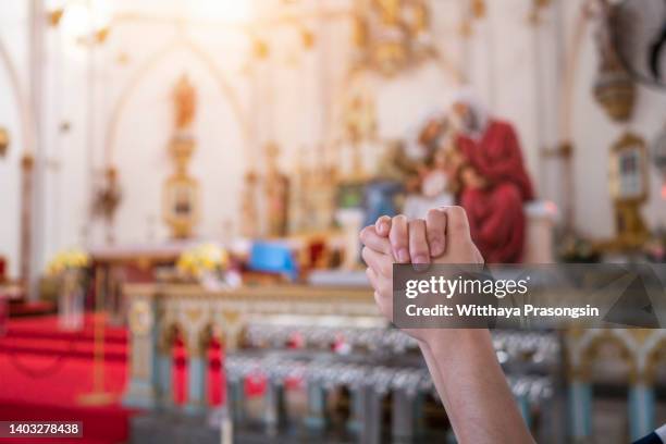 cute beautiful girl folded her hands in prayer. a woman asks god for help - perdão imagens e fotografias de stock