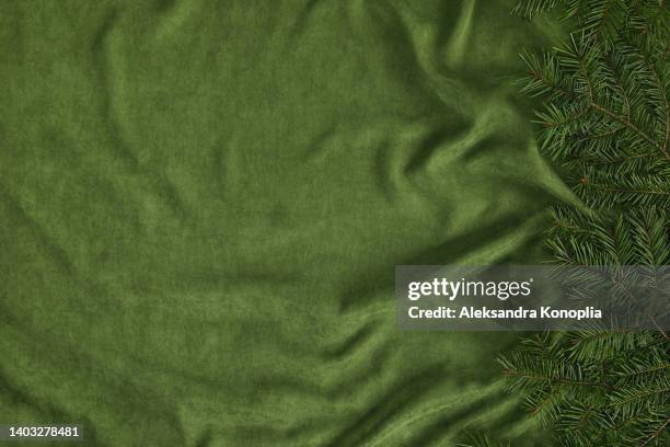 xmas still life background with christmas fir tree on folded green velvet - pracht tanne stock-fotos und bilder