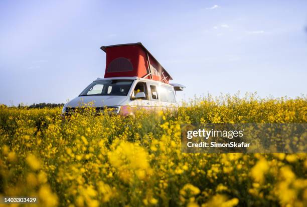 landwirtschaftliches feld mit gelben blumen, daneben geparkter lieferwagen mit erweiterter dachfläche - camper van stock-fotos und bilder