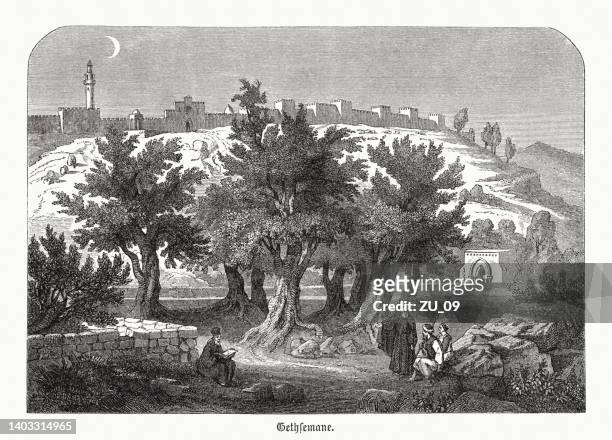 ilustraciones, imágenes clip art, dibujos animados e iconos de stock de getsemaní, monte de los olivos en jerusalén, grabado en madera, publicado en 1891 - garden of gethsemane