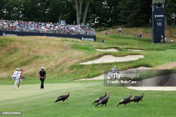 Sungjae Im of Korea walks to the tenth green as wild turkeys cross the fairway during round one of the 122nd U.S. Open Championship at The Country...