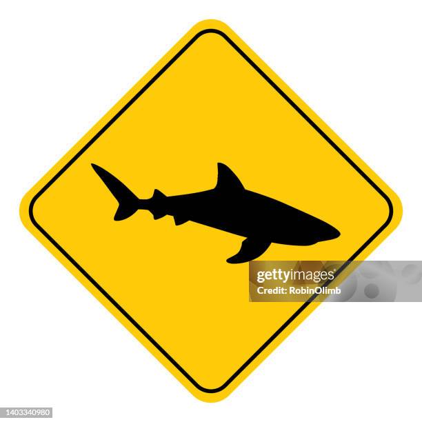 shark swimming road sign - great white shark stock illustrations