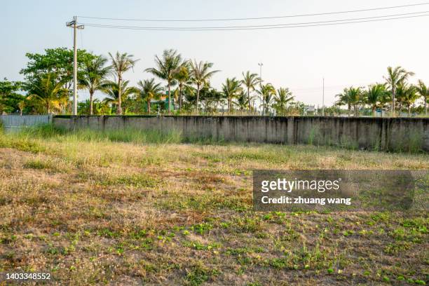 blue sky in the field - sanya stock pictures, royalty-free photos & images