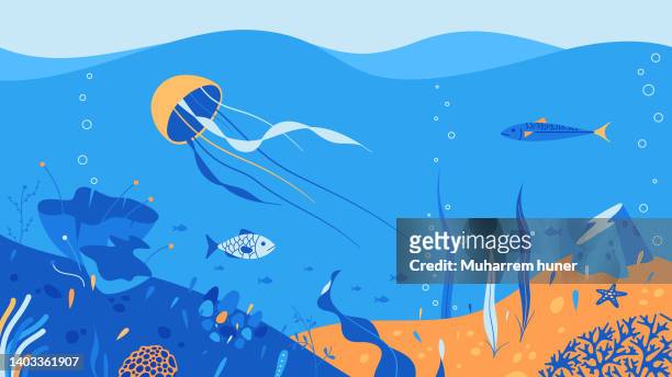 ilustraciones, imágenes clip art, dibujos animados e iconos de stock de ilustración vectorial del fondo conceptual del mundo submarino. - estrella de mar