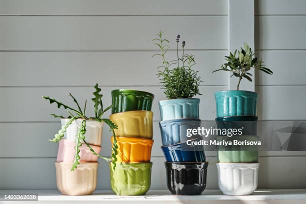 a group of multicolored ceramic planters stacked on the dresser. - pot plant 個照片及圖片檔