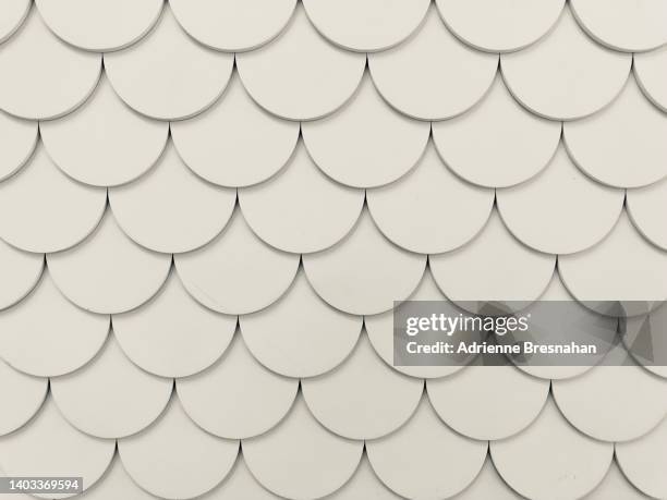 white scalloped pattern - scalloped pattern foto e immagini stock