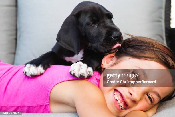 my new best friend - dog licking girls stock pictures, royalty-free photos & images