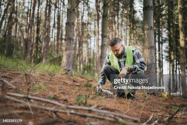 ökologe für feldforschung - forestry worker stock-fotos und bilder