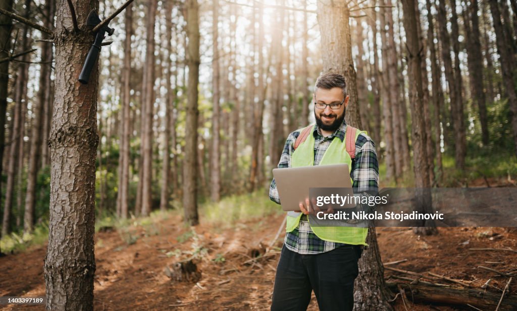 Ranger monitoring the woodland ecosystem