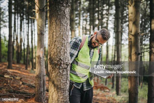 ranger monitoring the woodland ecosystem - ecologist stock pictures, royalty-free photos & images