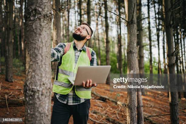 förster beim arbeiten und verwenden des laptops im wald - forestry worker stock-fotos und bilder