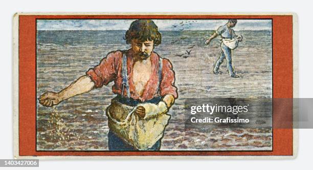 art nouveau illustration - sowing stock illustrations