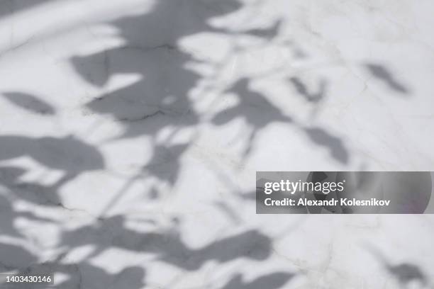 white marble rock texture background with sunlights and shadow. copy space, place for object. flat lay - marble rock foto e immagini stock