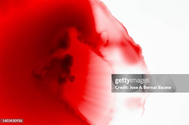 liquid red paint that slides on a white background. - blood flow photos et images de collection