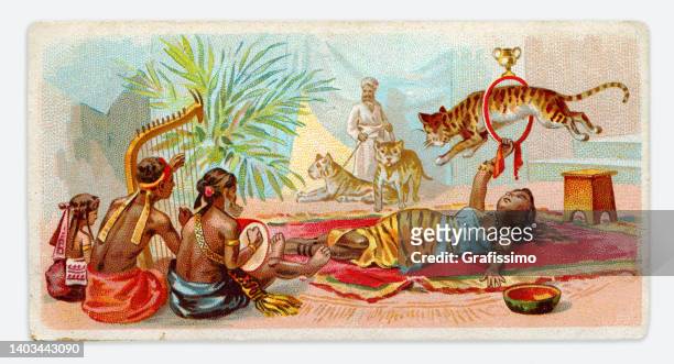 performer with tiger in india art nouveau illustration 1899 - indians tigers 幅插畫檔、美工圖案、卡通及圖標