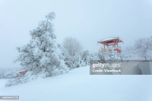 baoji in shaanxi taibai county government ridge snow - rime ice stock pictures, royalty-free photos & images