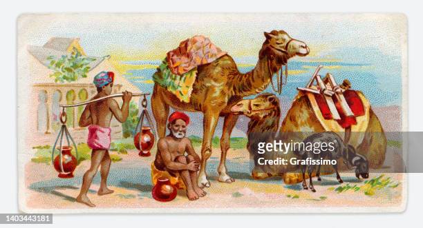 karawanserei in indien mit kamel-jugendstil-illustration 1899 - bundesstaat rajasthan stock-grafiken, -clipart, -cartoons und -symbole