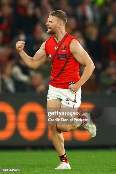 Jake Stringer of the Bombers celebrates kicking a goal during the round 14 AFL match between the St Kilda Saints and the Essendon Bombers at Marvel...