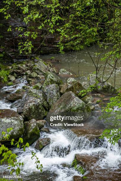 Doushan 42 Doushan Stock Photos, High-Res Pictures, and Images - Getty Images