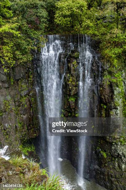 Doushan 42 Doushan Stock Photos, High-Res Pictures, and Images - Getty Images