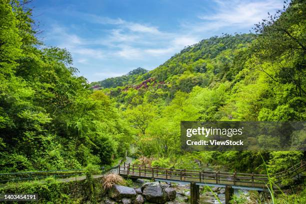Doushan 42 Doushan Stock Photos, High-Res Pictures, and Images - Getty Images