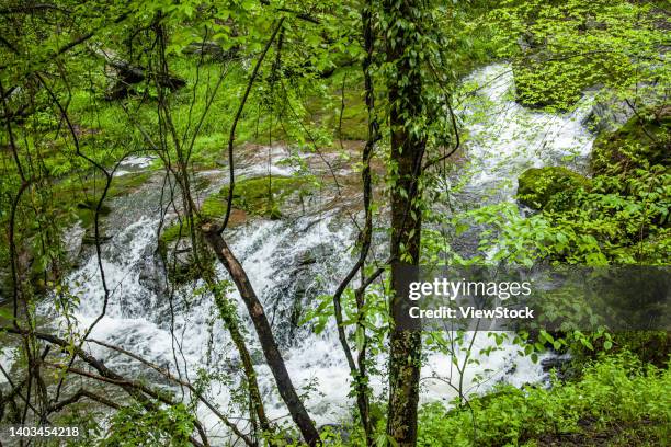 Doushan 107 Xikou Stock Photos, High-Res Pictures, and Images - Getty Images