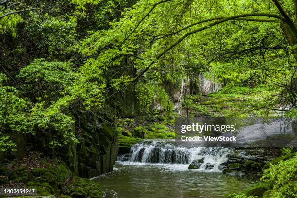 Doushan 107 Xikou Stock Photos, High-Res Pictures, and Images - Getty Images