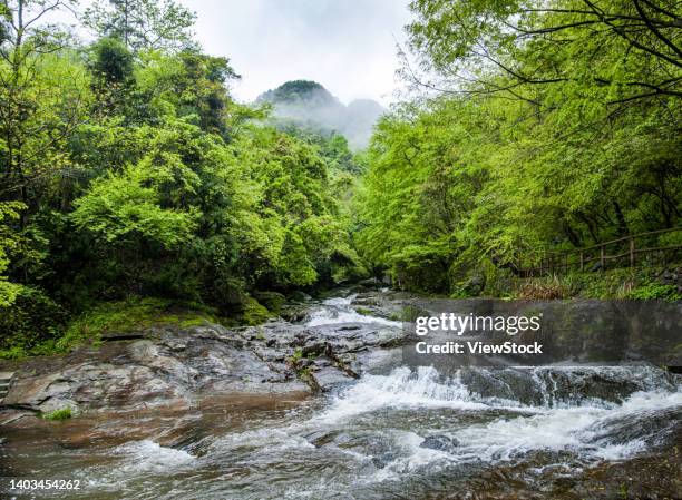 Doushan 42 Doushan Stock Photos, High-Res Pictures, and Images - Getty Images