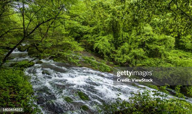 Doushan 42 Doushan Stock Photos, High-Res Pictures, and Images - Getty Images