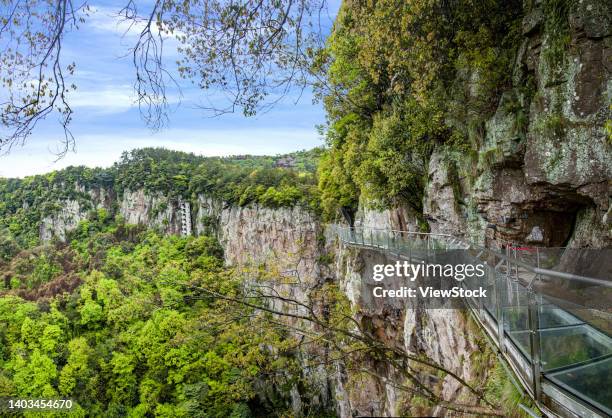 Doushan 136 Xikou Stock Photos, High-Res Pictures, and Images - Getty Images