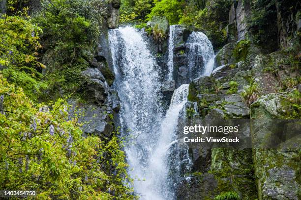 Doushan 42 Doushan Stock Photos, High-Res Pictures, and Images - Getty Images