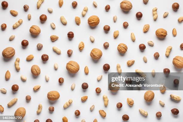 various nuts on a white background - macadamia nut 個照片及圖片檔